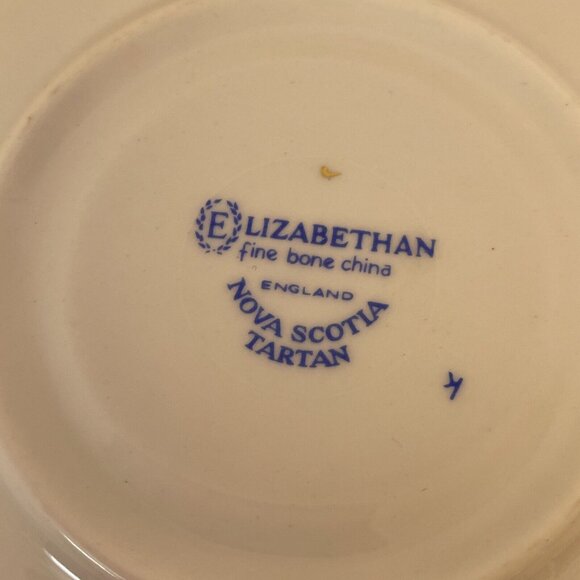 Elizabethan Fine Bone China Tea Cup And Saucer Nova Scotia Tartan - Picture 7 of 16